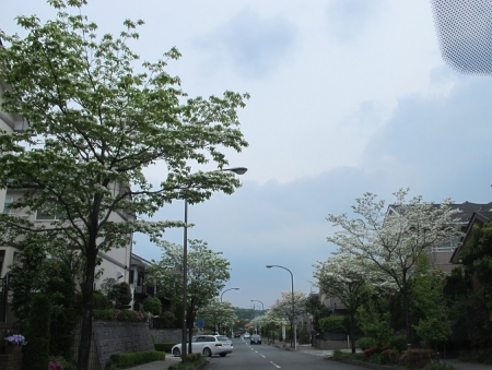 神奈川県