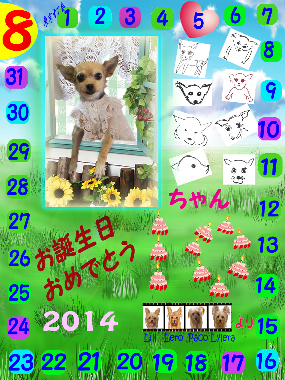 08-08-2014polcoちゃん誕生日カード
