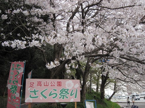 ２０１４春☆足高山公園下駐車場の桜