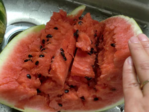 watermelon1402.jpg
