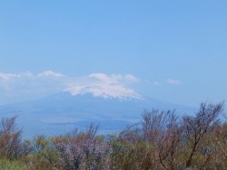 三国峠から富士山を望む