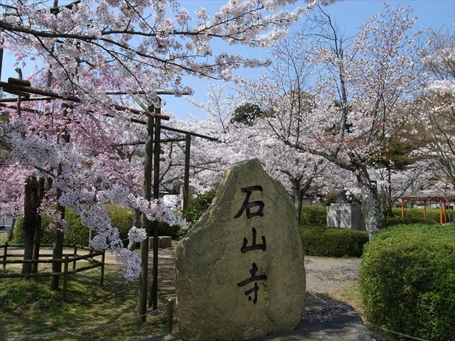 春も美しい。　石山寺再訪　湖国再発見２０１４春　その３