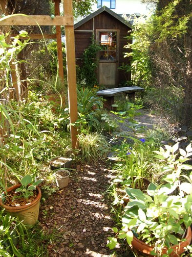 my-garden 104