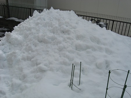 雪で自転車が埋まった！